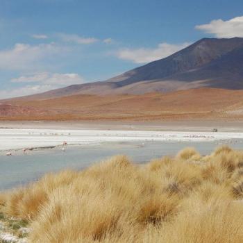 Lagunes met flamingo's bij de Salar