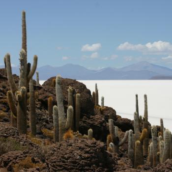Incahuasi - Salar de Uyuni