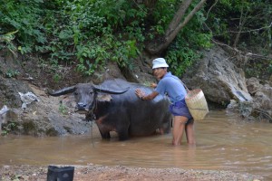 Wasplaats tijdens trekking Kalaw - Inle Lake