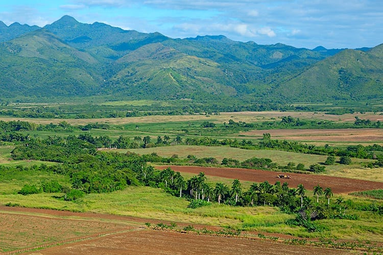 Valle de los Ingenios