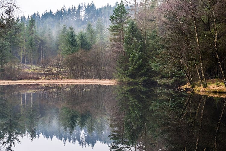 Galloway Forest Park, Schotse Laaglanden