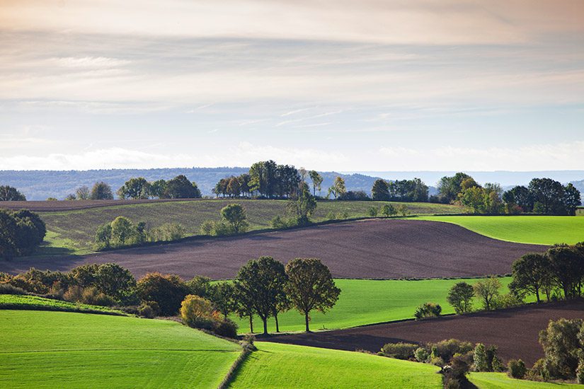 South Limburg hilly landscape