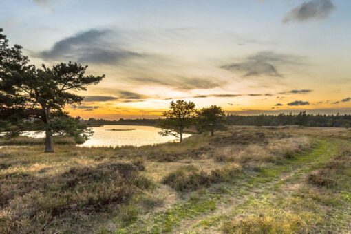 Herfstwandelingen Nederland