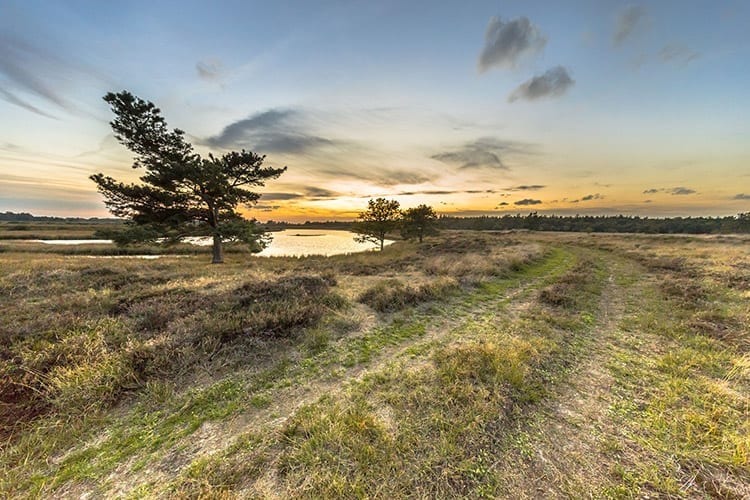 Groene Wissel Hooghalen
