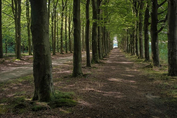 Ommen, Overijssel