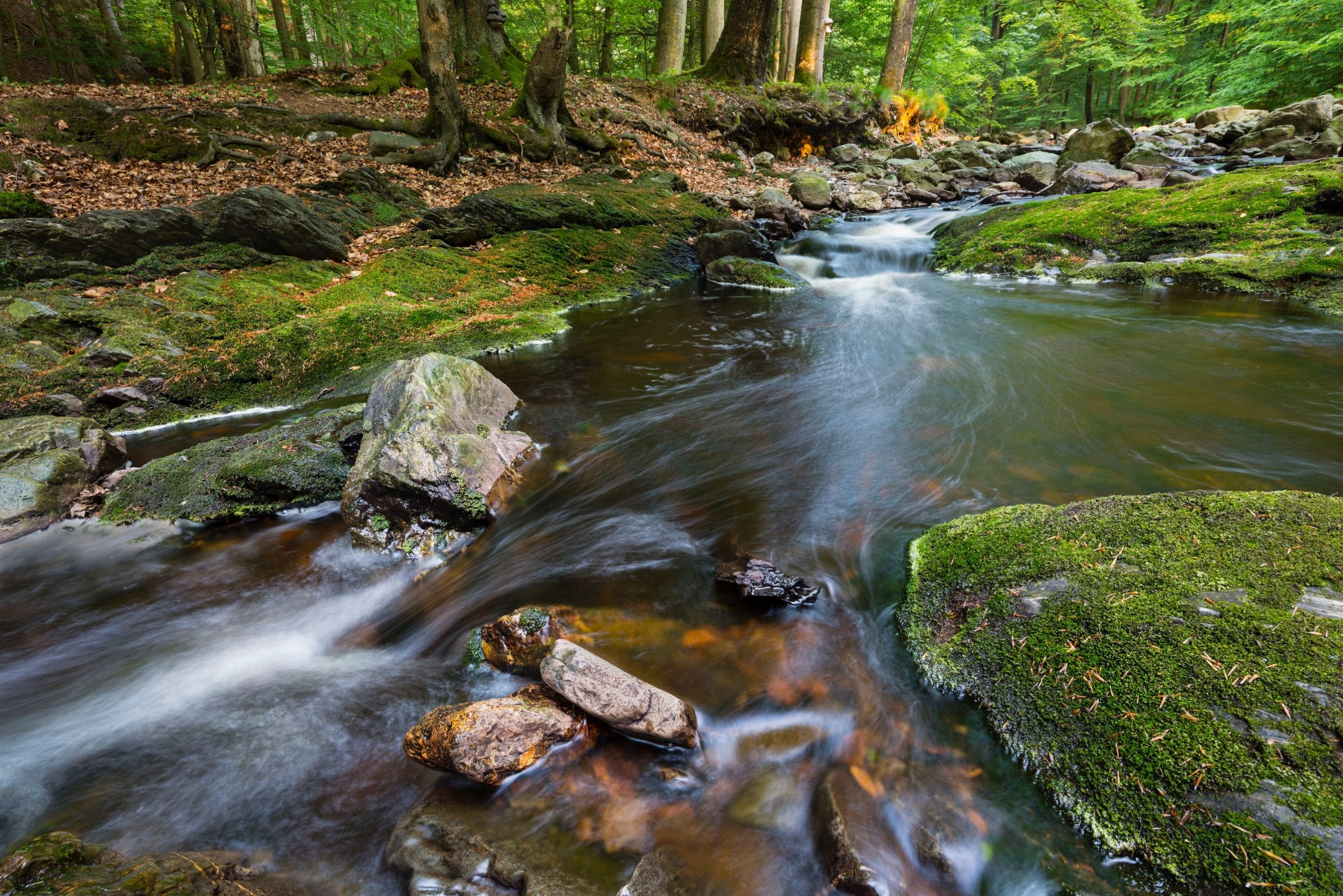 Vakantie tips Belgische Ardennen | Álle mooiste plekjes!