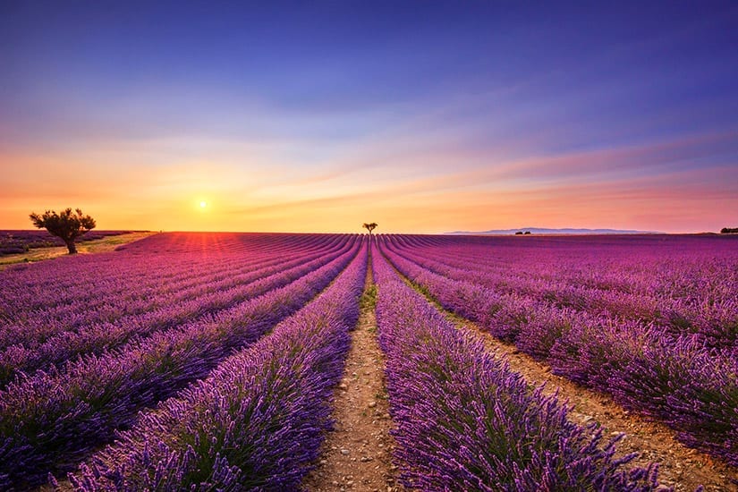 Provence