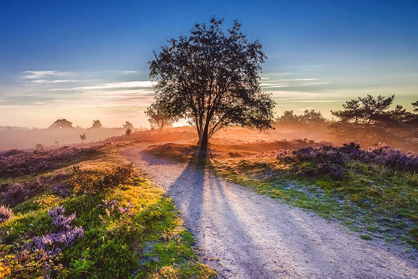 Hoge Veluwe, Gelderland