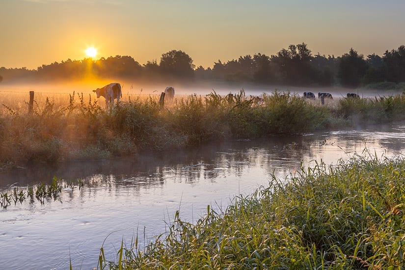 Rivier de Dinkel in Twente