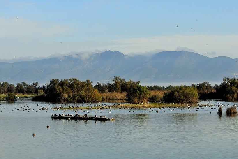 Parc Natural de l’Aiguamolls de l’Empordà