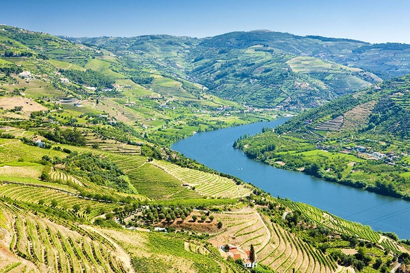 Douro Vallei