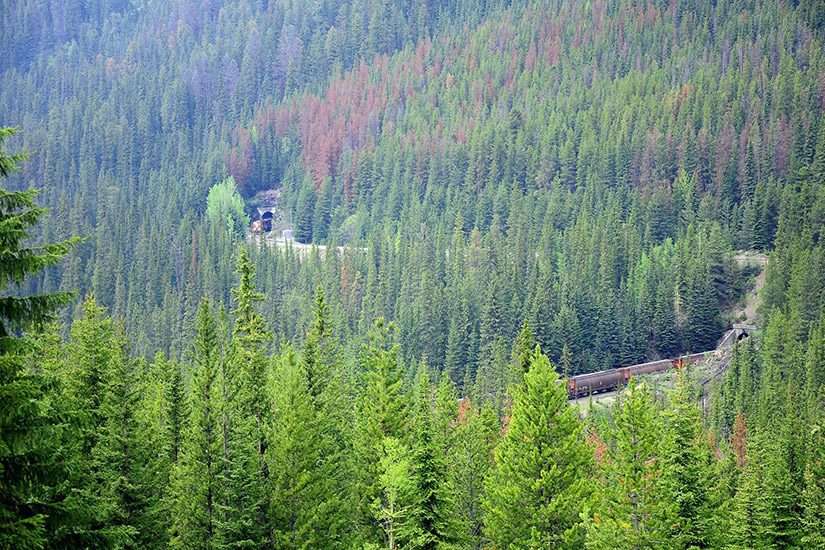 Lower Spiral Tunnel Viewpoint