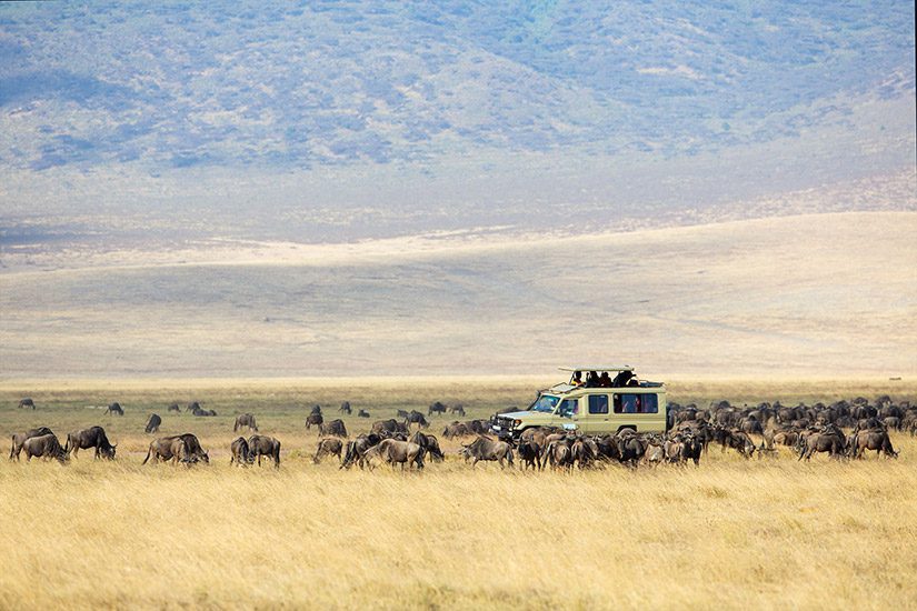 Ngorongoro Krater safari