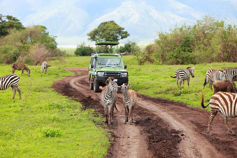 Ngorongoro Krater safari