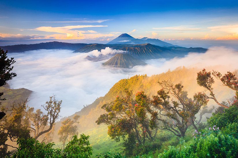 Bromo vulkaan