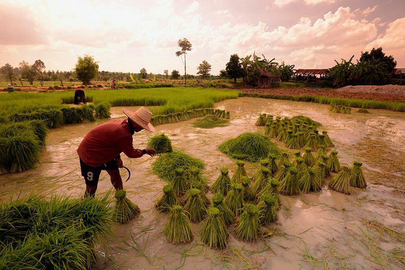 Isaan, Thailand