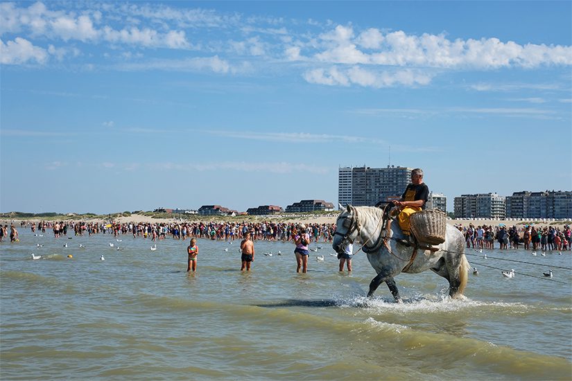 Garnalenvisser in Oostduinkerke