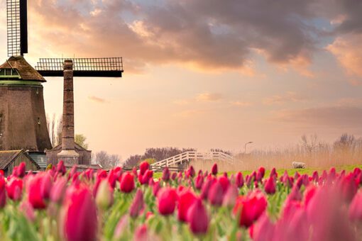 Nederland