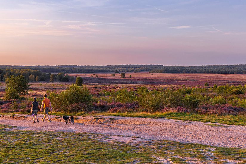 Ginkelse heide