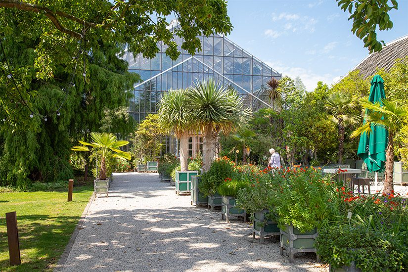 Hortus Botanicus Leiden