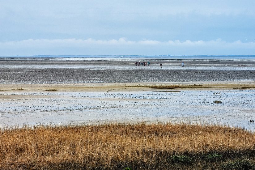 Wadlopen bij Schiermonnikoog