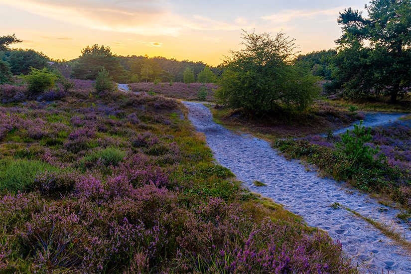 Zonsondergang Brunssummerheide