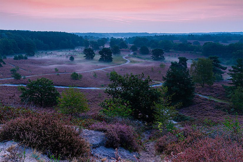 Brunssumerheide zonsopkomst