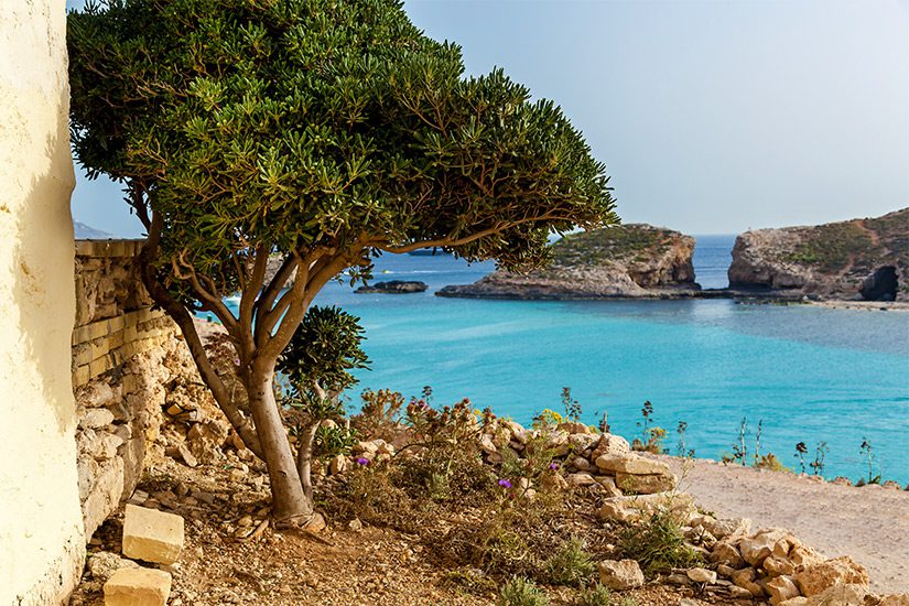 Comino Malta
