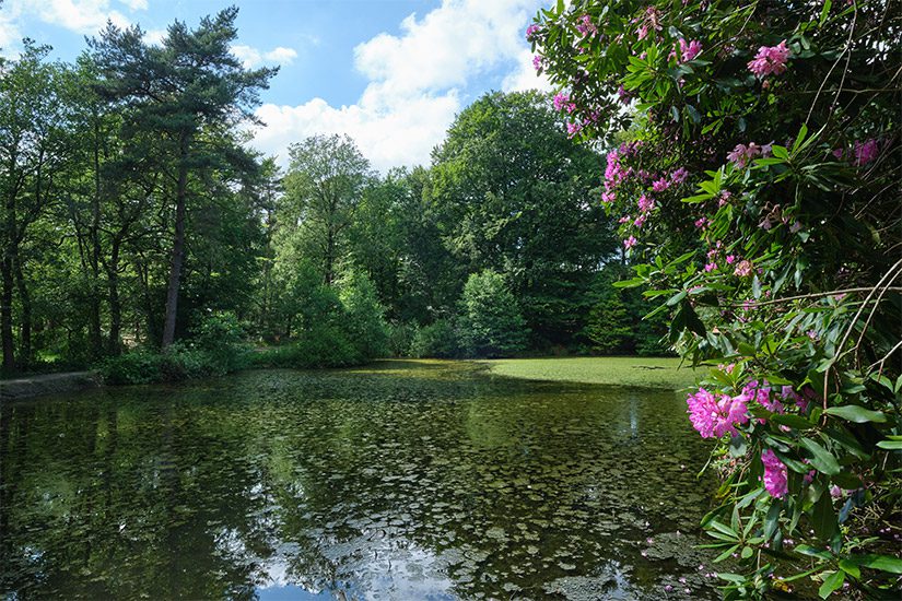 Mosbeek