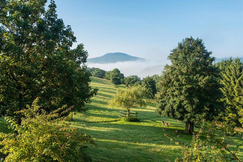 Natur- und Wohlfühlhotel Kastenholz