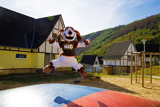 Dormio Resort Eifeler Tor