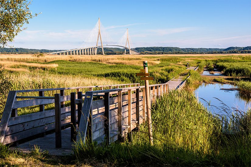 Pont de Normandie landschap