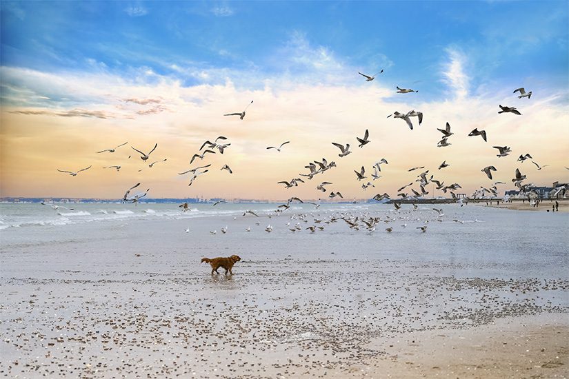 Strand van Cabourg