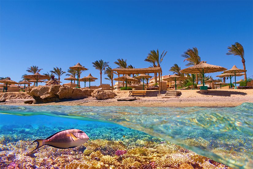 Vakantie Egypte